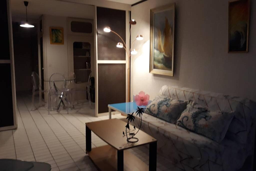 Appartement Le Cocon De Flo, Face A La Au Couchant *