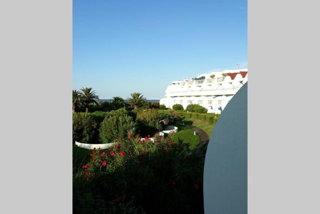 Apartment Le Cocon De Flo, Face A La Au Couchant La Grande-Motte